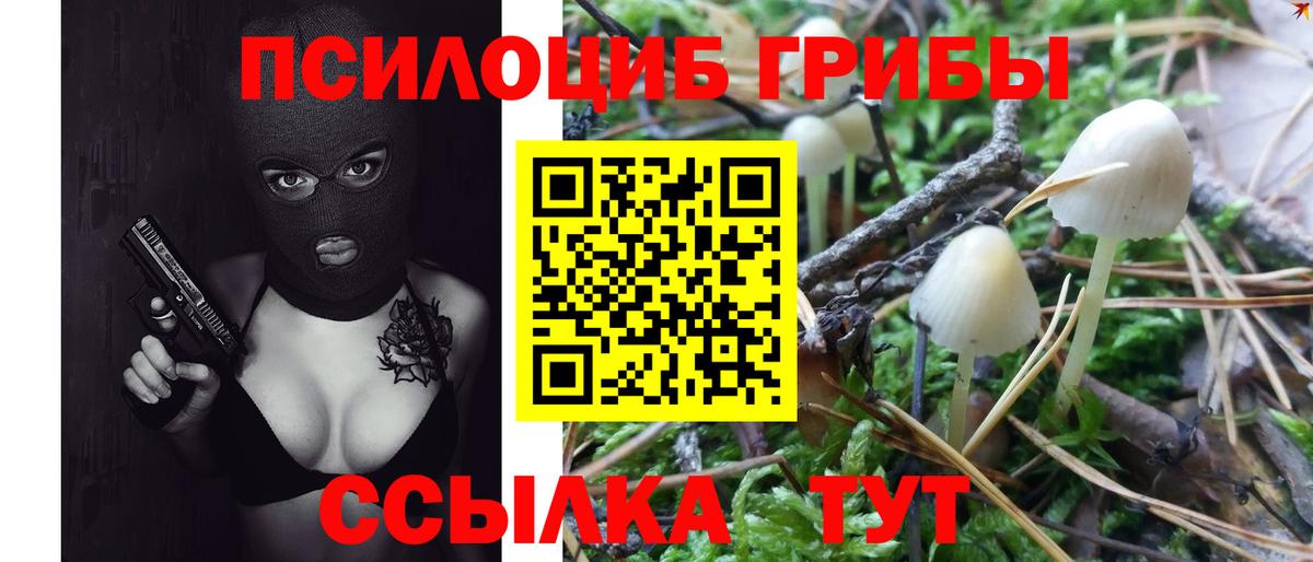 Махачкала  Галлюциногенные грибы мицелий  Вход с VPN 
