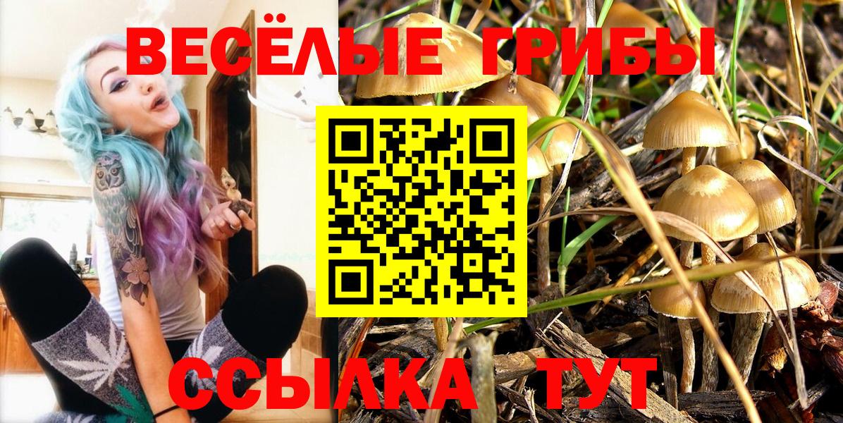 Галлюциногенные грибы прущие грибы Махачкала